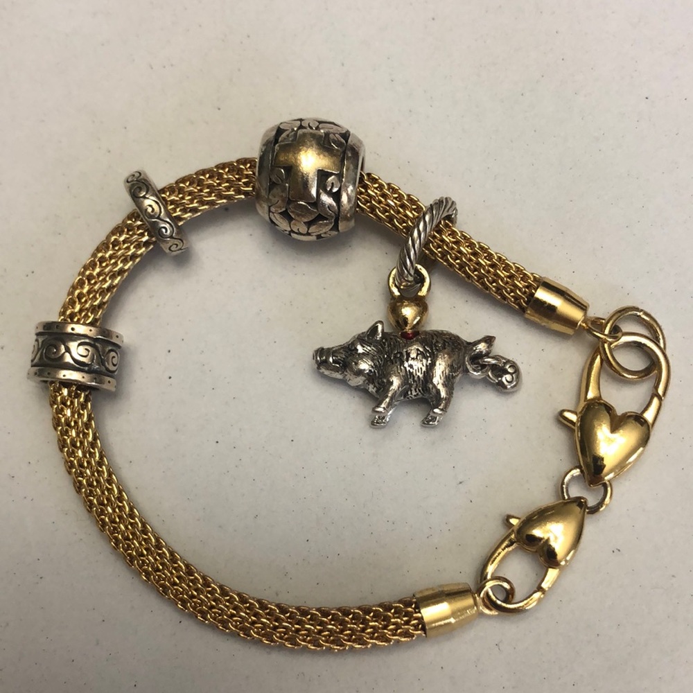 COPY - Brighton goldtone mesh charm bracelet without charms